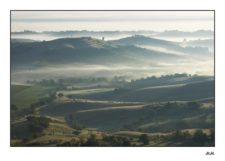 Montefollonico (Siena)