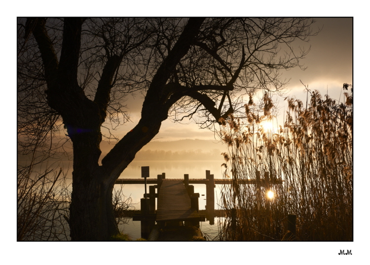 Pfäffikersee