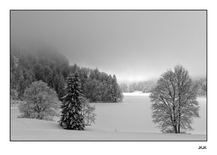 Obersee GL