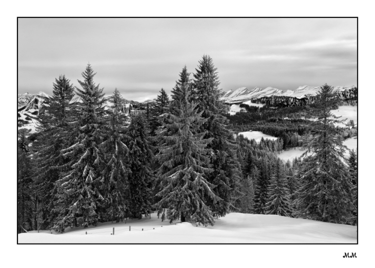 Regulastein