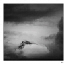 J263061_SW_1_mN_mR_fV